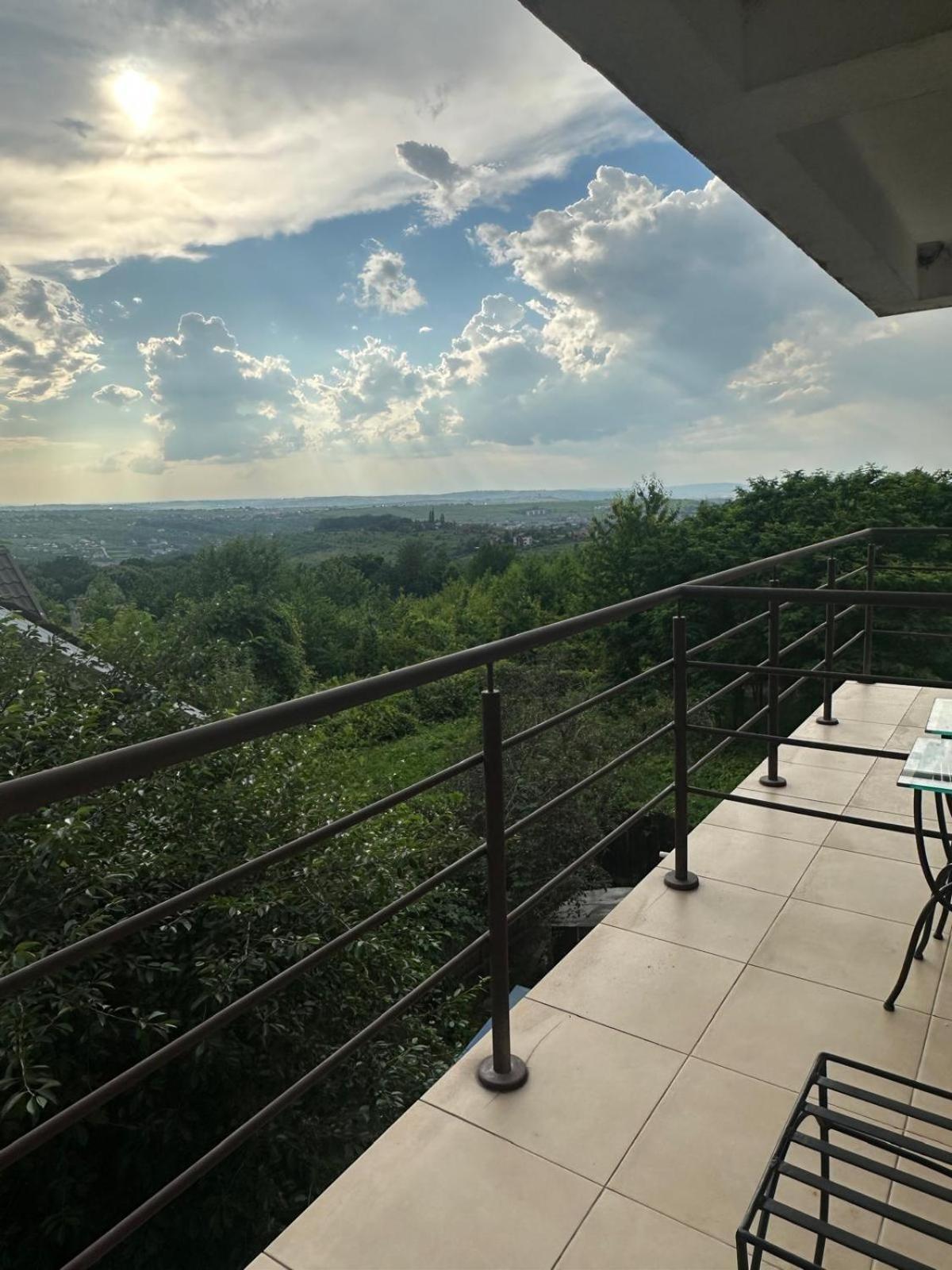 Shamrock Inn Iasi Eksteriør billede
