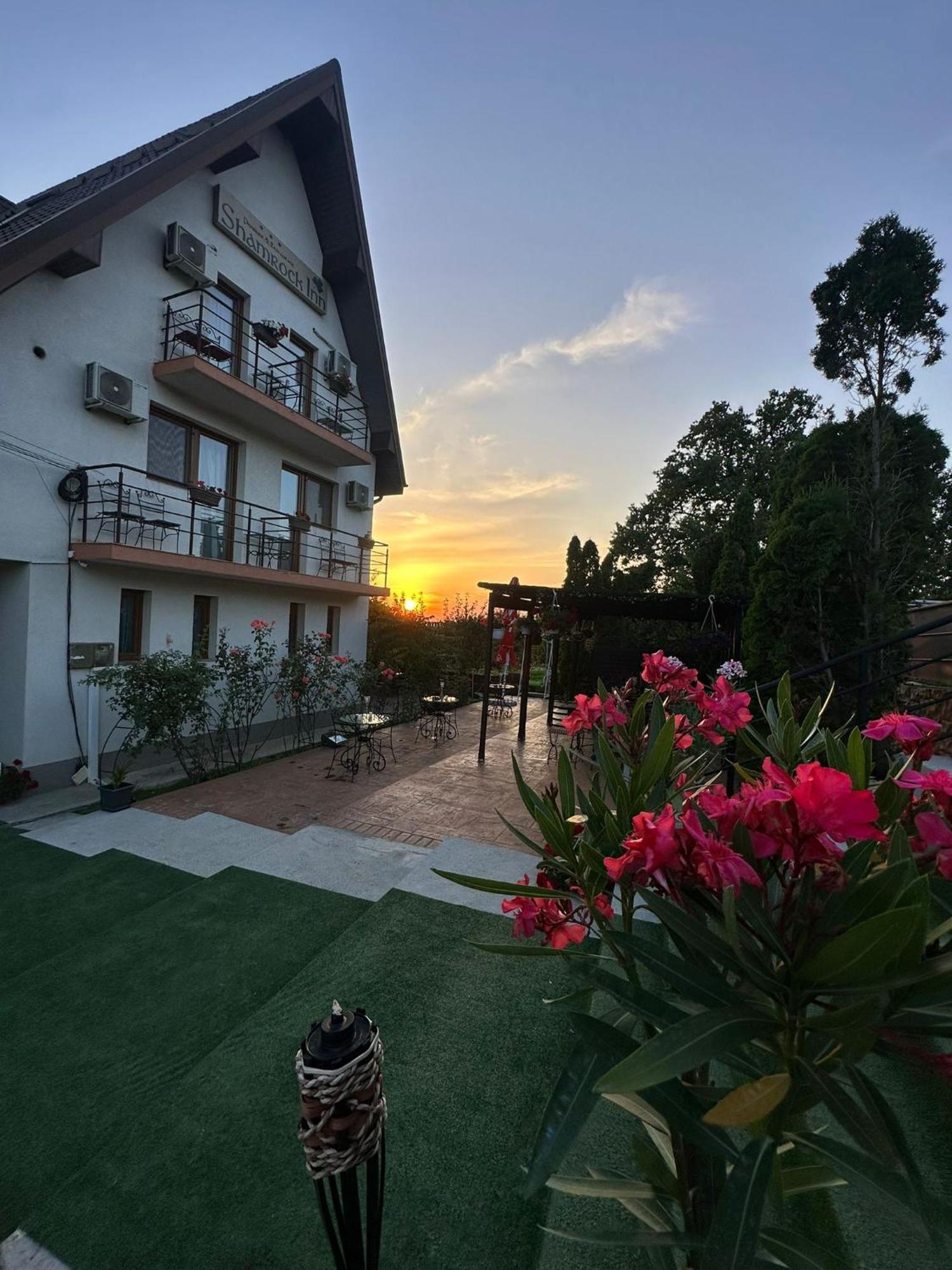 Shamrock Inn Iasi Eksteriør billede