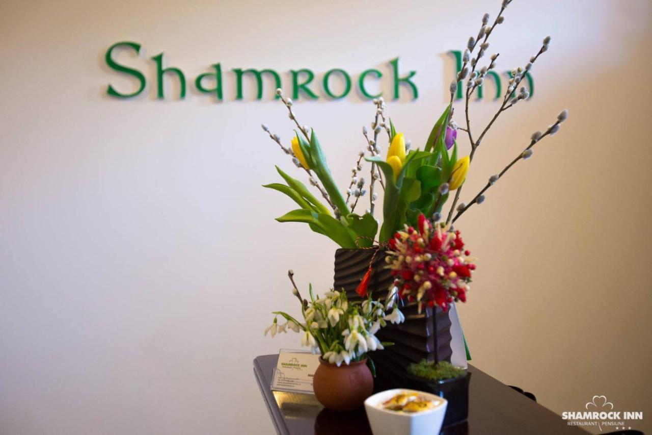Shamrock Inn Iasi Eksteriør billede